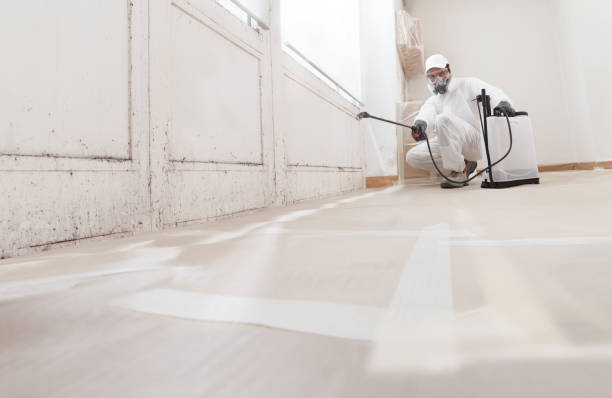 24/7 Emergency Attic Mold Remediation experts in Virginia Beach, VA