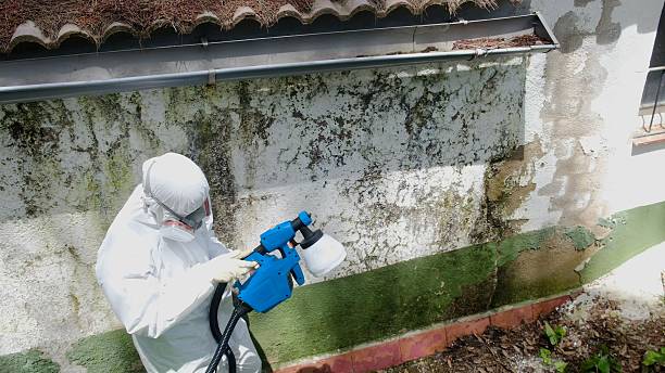 Top rated local Attic Mold Remediation specialists in Virginia Beach, VA
